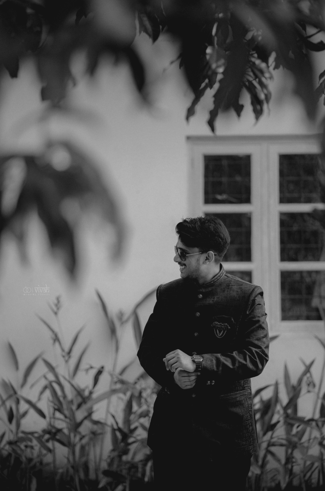 a forest after an apocalypse